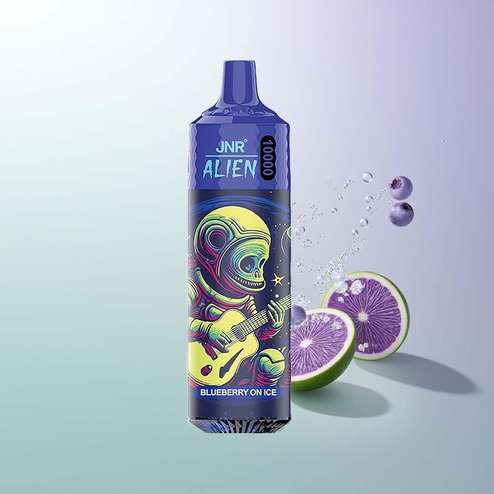 JNR Alien 10000 Pufova Tipa-C Brzo Punjenje LED Borovnica na Ledu Srbija Dobavljači