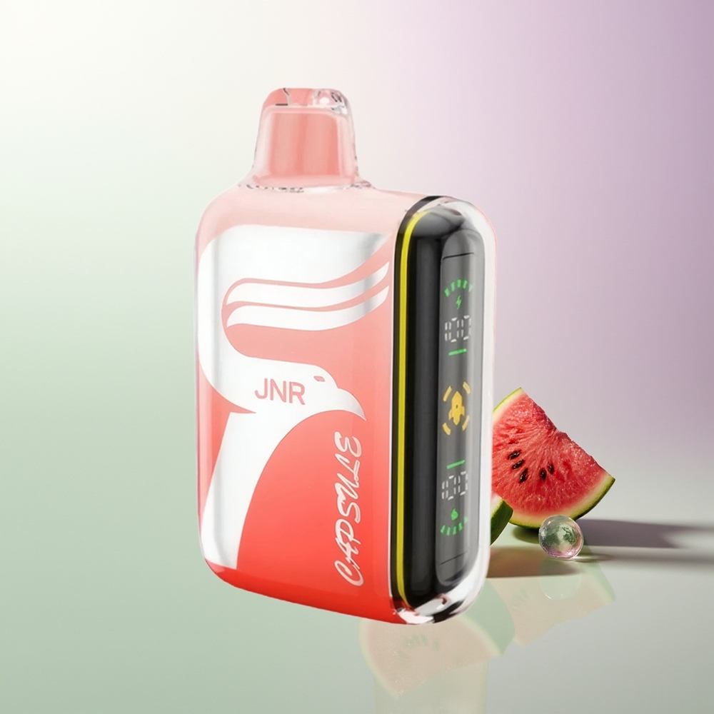 JNR Capsule 15000 Puffs 850mAh 20ml Dual Mesh Coil Smart LED Display 2% 5% Lubenica Brazz Ledena