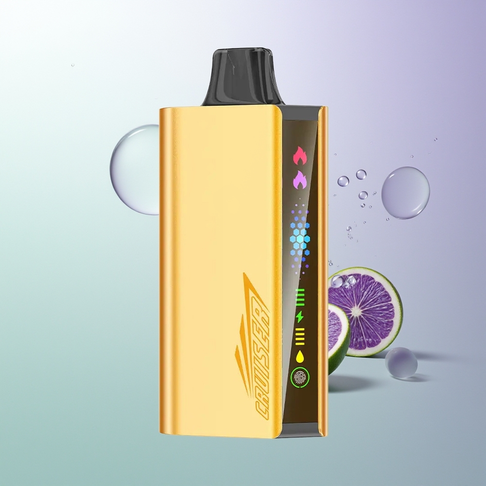 JNR Cruiser 12000 Pufova No-Charge Dual Mesh Coil 25ml Borovnica Eksplozija