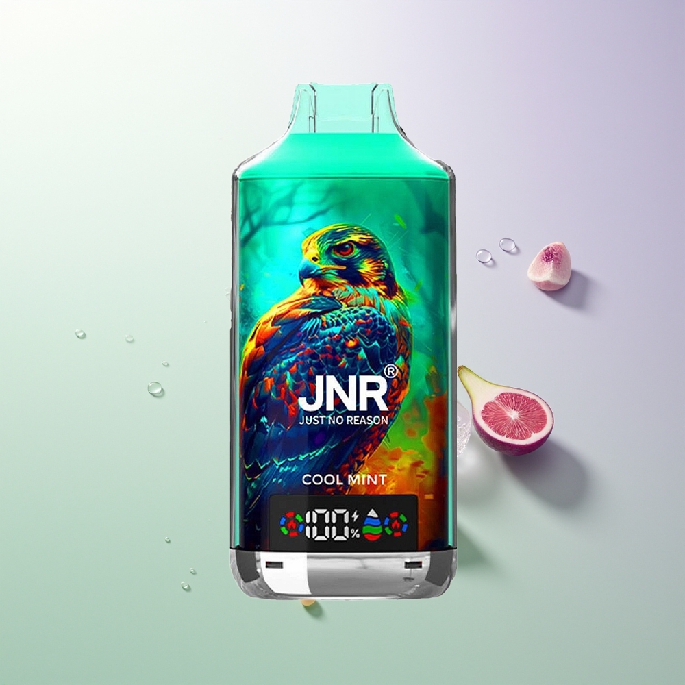 JNR Falcon X 18000 Pufova 750mAh 24ml Dual Mesh Coil Digital Display Type-C 0% 2% 5% Cool Mint
