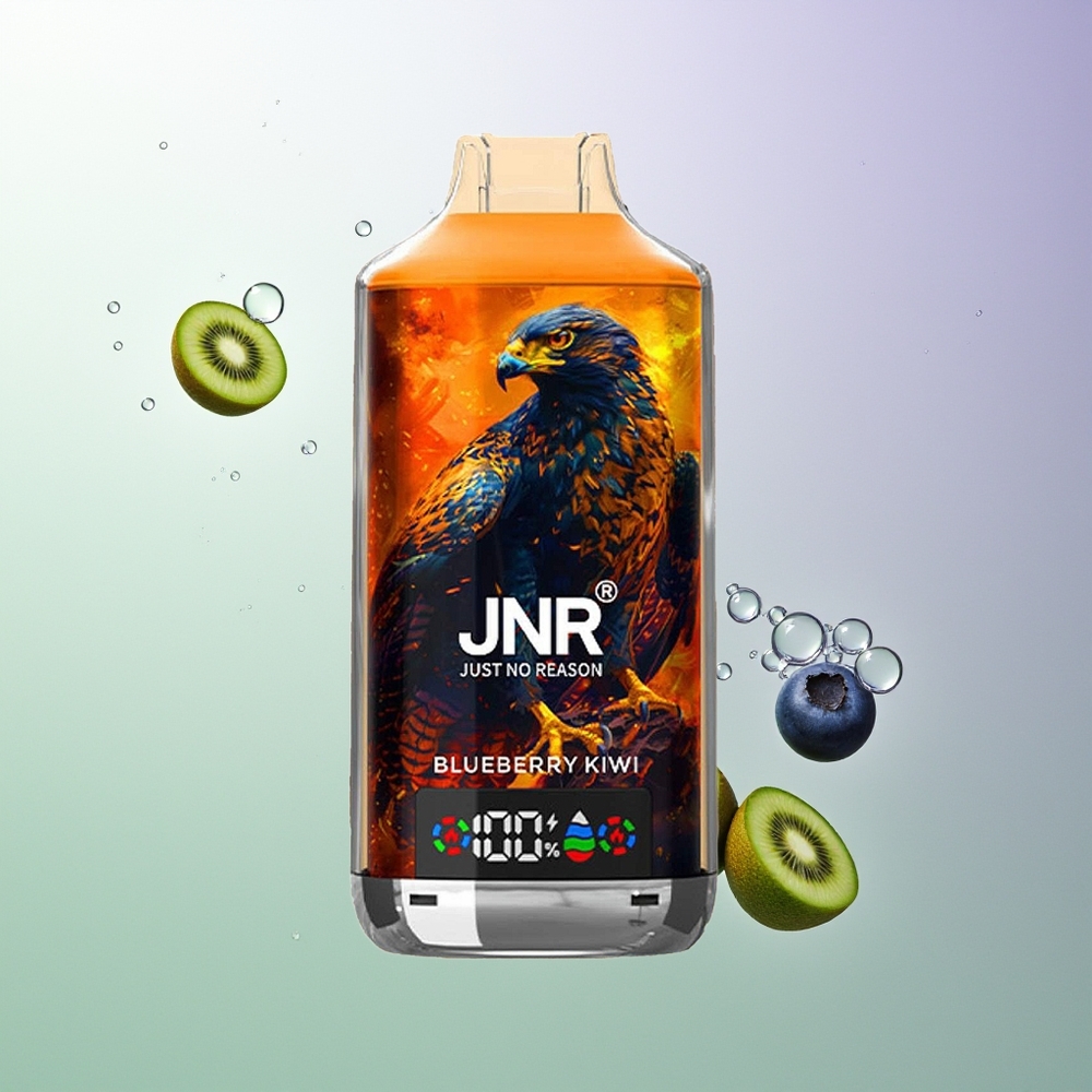 JNR Falcon X 18000 Pufova 750mAh 24ml Dual Mesh Coil Digital Display Type-C Brusina Borovnica