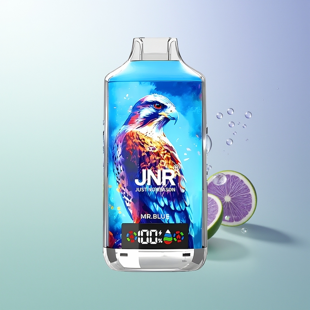 JNR Falcon X 18000 Pufova 750mAh 24ml Dual Mesh Coil Digital Display Type-C Mr. Plava