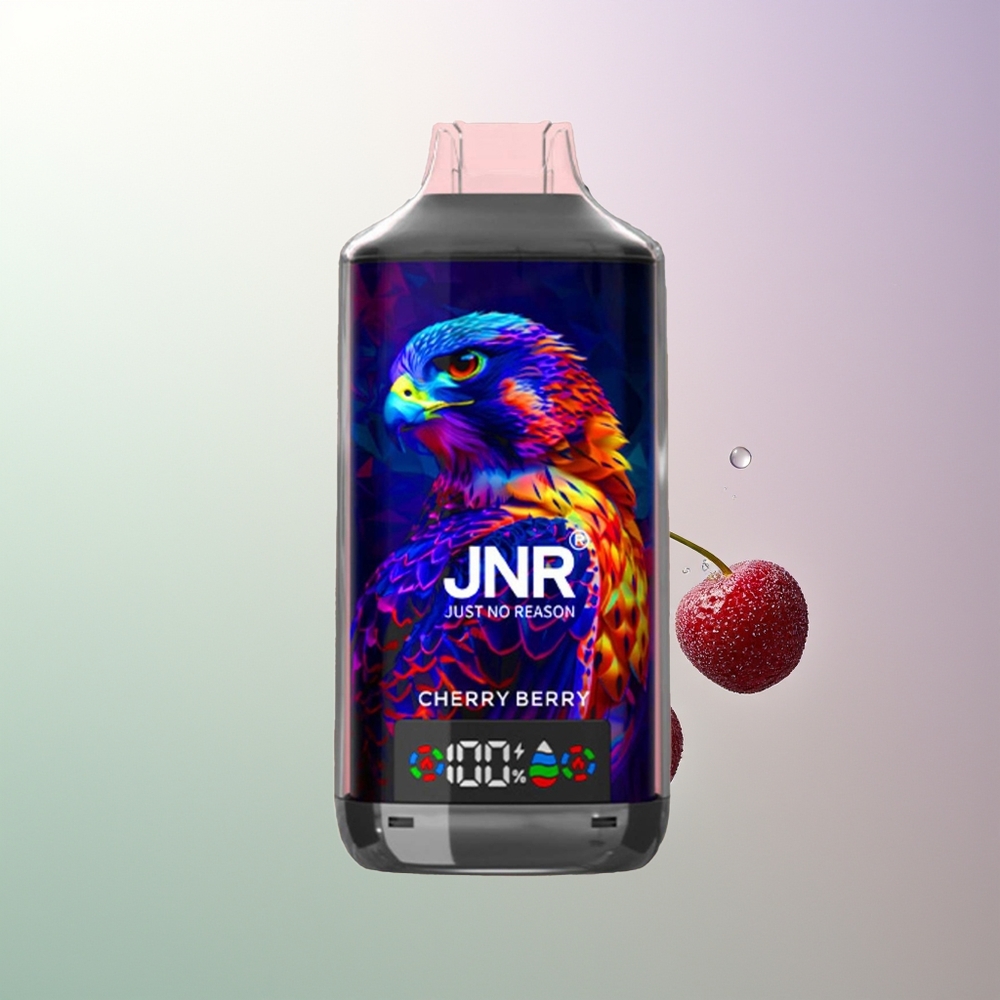 JNR Falcon X 18000 Pufova 750mAh 24ml Dvostruka Mreža i Dvostruko Jezgro Digitalni Ekran Type-C Brzo Punjenje 0% 2% 5% Trešnja Bobica