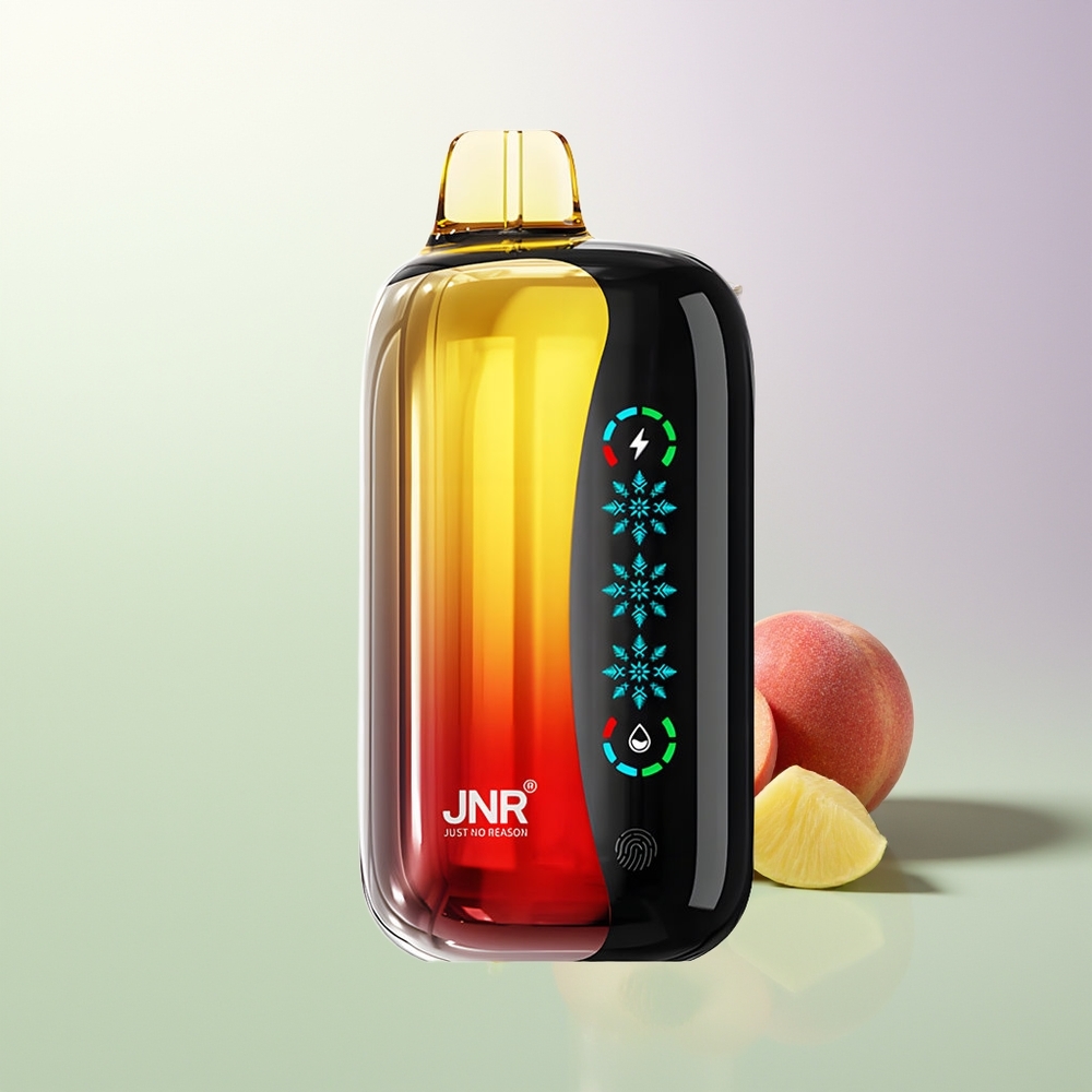 JNR Flex Ice 21000 Pufova Podesivi Vazdušni Tok Dodir Ekran 26ml E-tečnost Breskva Mango Ananas