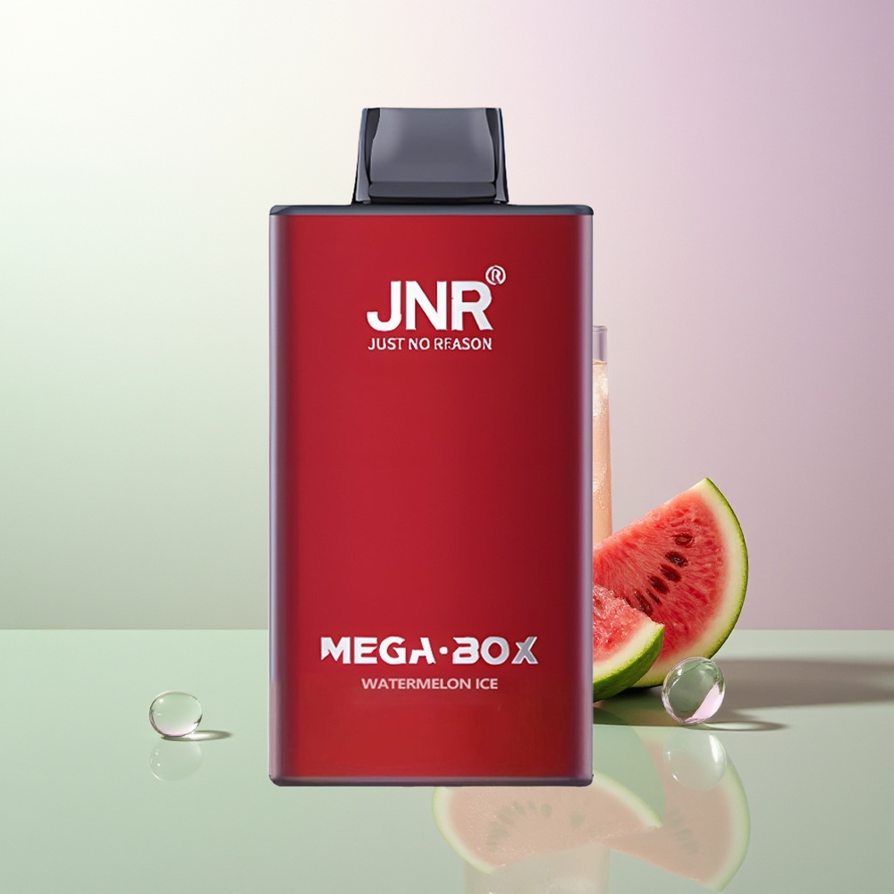JNR Mega Box 25000 Puffova Dual Mesh Dual Core Brza Punjač Type-C Lubenica Led