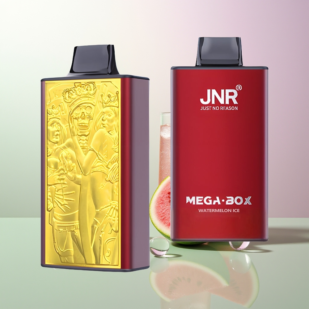 JNR Mega Box 25000 Puffova Dual Mesh Dual Core Brza Punjač Type-C Lubenica Led