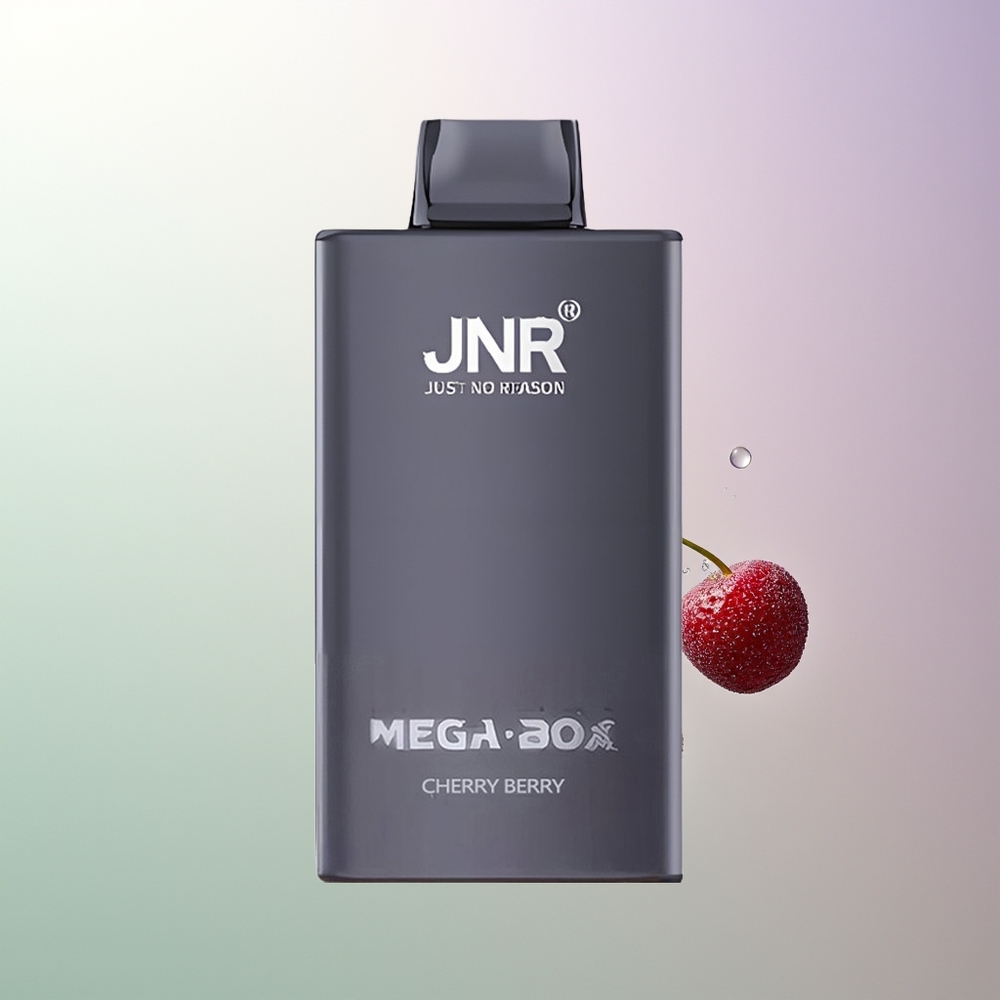 JNR Mega Box 25000 Pufova Dual Mesh 30ml Trešnja Borovnica Srpski Veleprodaja