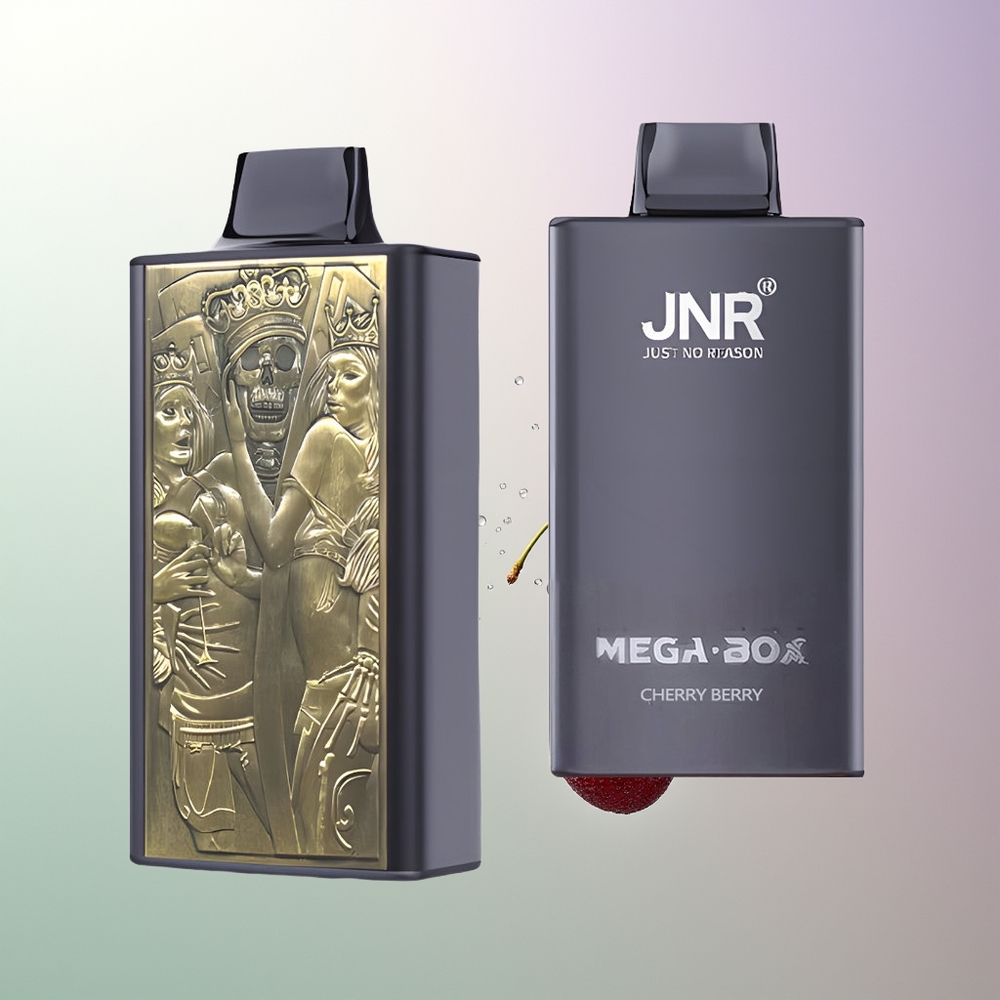 JNR Mega Box 25000 Pufova Dual Mesh 30ml Trešnja Borovnica Srpski Veleprodaja