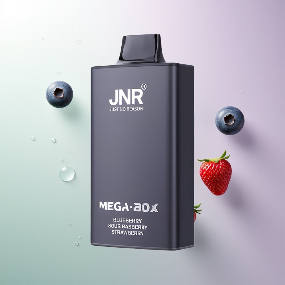 JNR Mega Box 25000 Pufova Dual Mesh Coil Type-C Brusna Malina Jagoda Borovnica