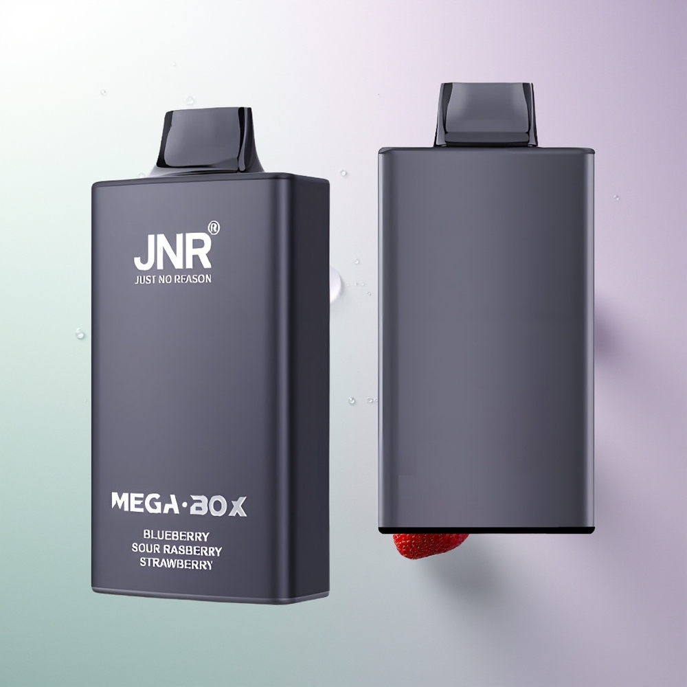 JNR Mega Box 25000 Pufova Dual Mesh Coil Type-C Brusna Malina Jagoda Borovnica