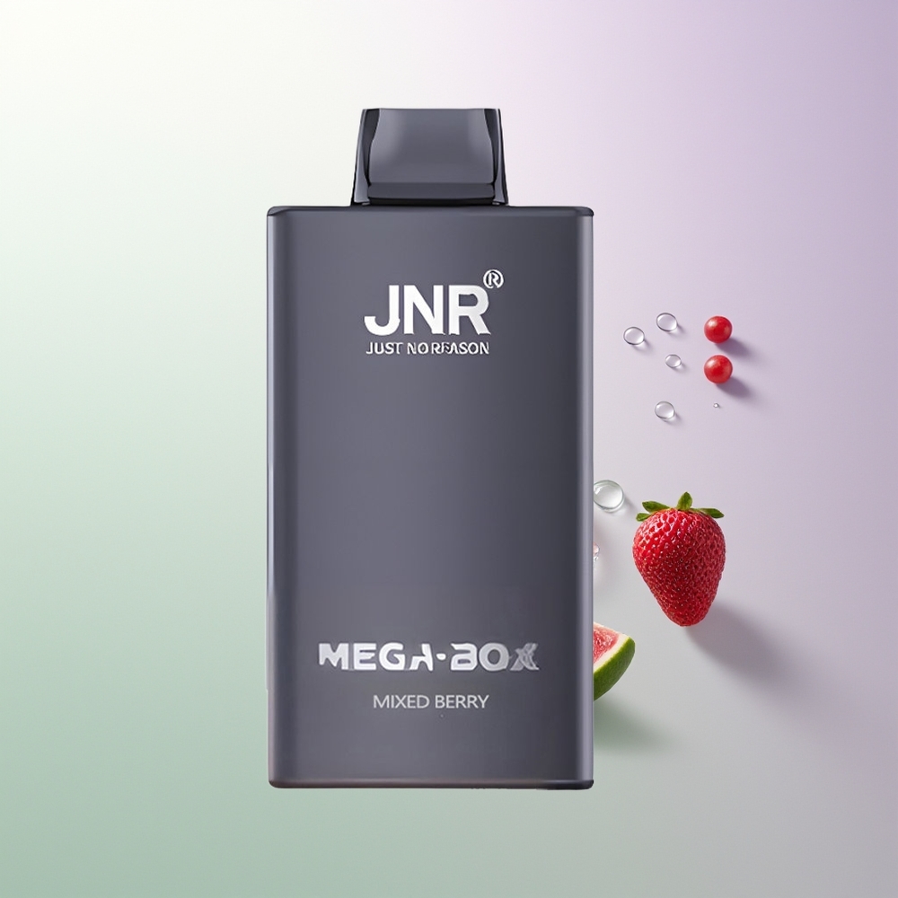 JNR Mega Box 25000 Pufova Dvoslojna Mreža & Dvostruko Jezgro Brzo Punjenje Type-C Mešane Bobice Srpski Veleprodajci