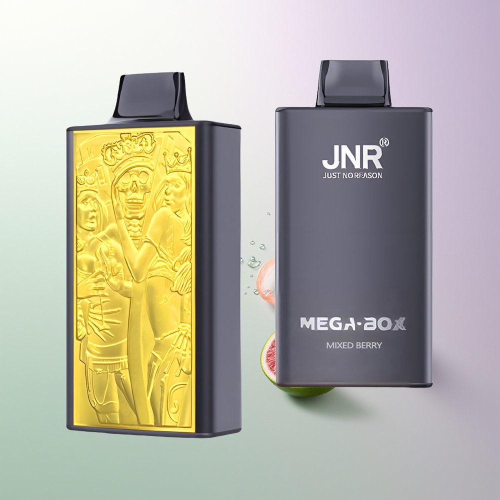 JNR Mega Box 25000 Pufova Dvoslojna Mreža & Dvostruko Jezgro Brzo Punjenje Type-C Mešane Bobice Srpski Veleprodajci