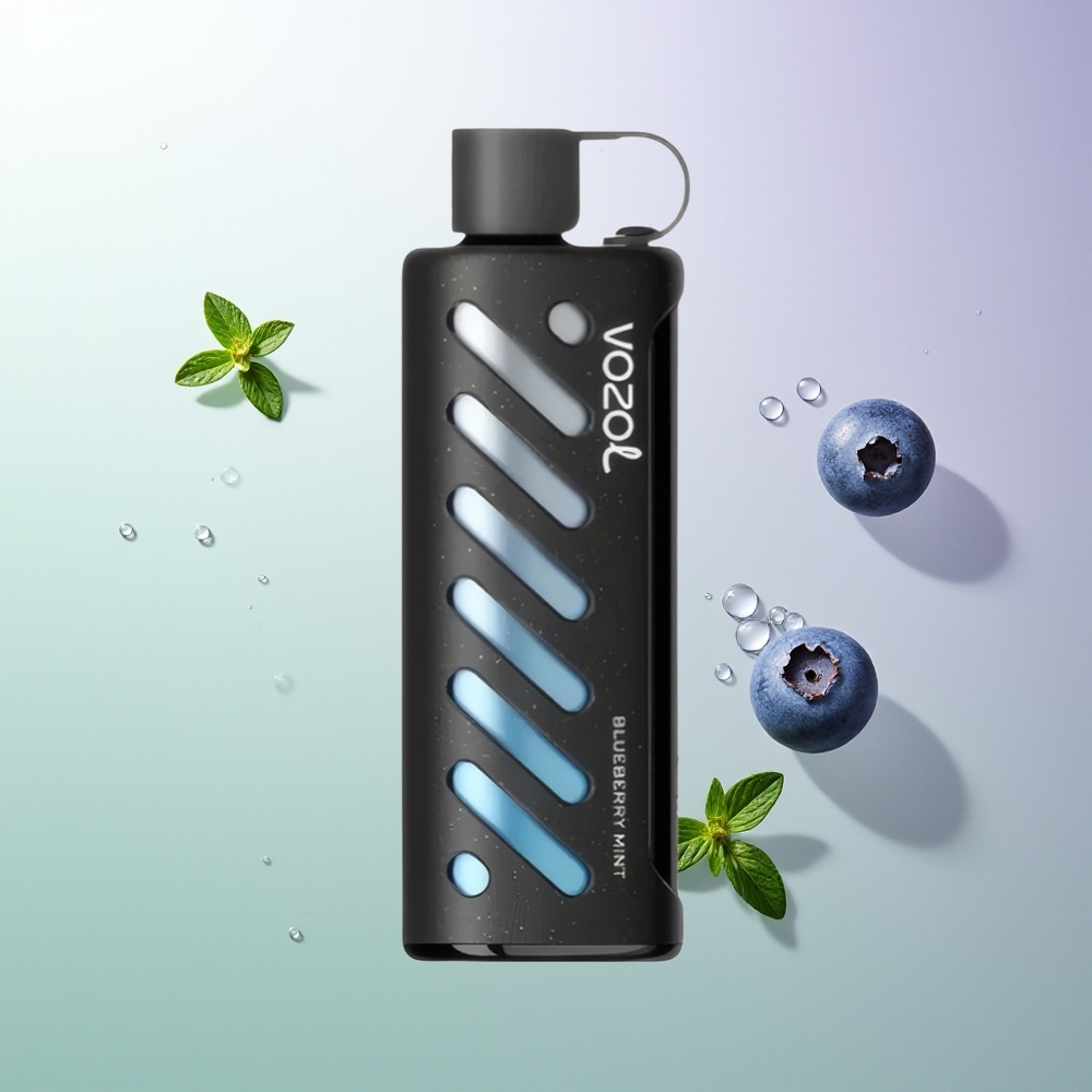 VOZOL Gear Shisha 25000 Pufova Dual Mesh Dual Modes 1000mAh Borovnica Met