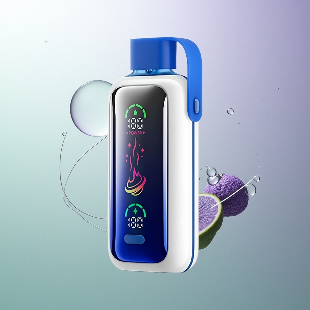 VOZOL Star 20000 Pufova Dual Mesh 650mAh Boravka sa Plavim Jagodama