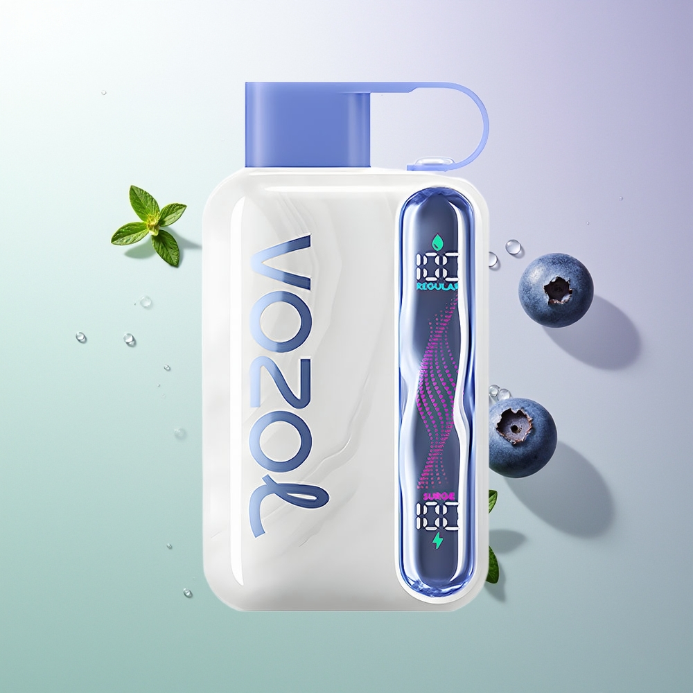 VOZOL STAR 40000 Pufova 1000mAh Tip-C 20/50mg/ml Borovnica Met