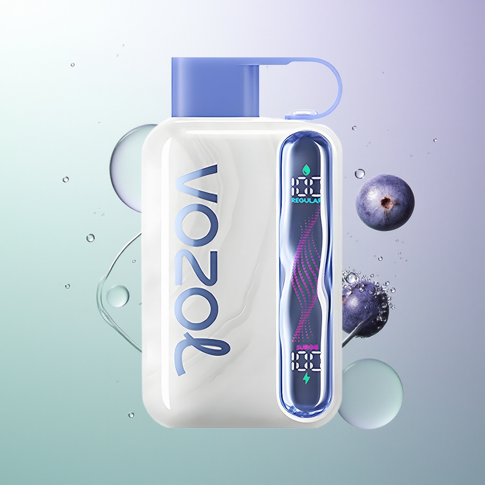 VOZOL STAR 40000 Pufova 1000mAh Type-C Borovnica Led Srpski Dobavljači
