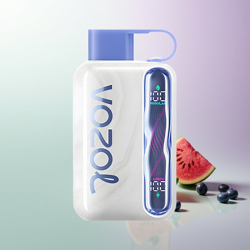VOZOL STAR 40000 Pufova 1000mAh Type-C Borovnica Lubenica