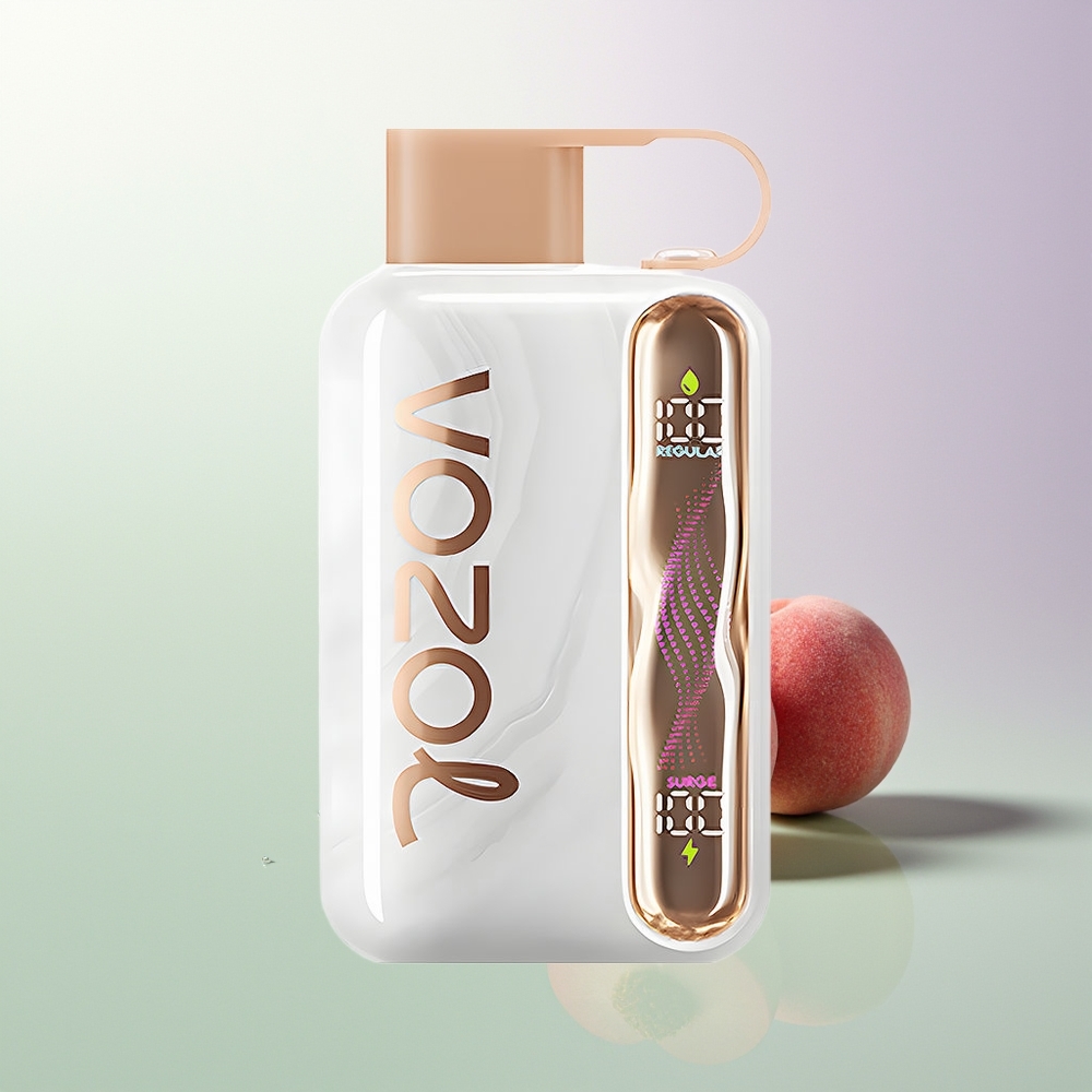 VOZOL STAR 40000 Pufova 1000mAh Type-C Breskva Led Srpski Dovoznici