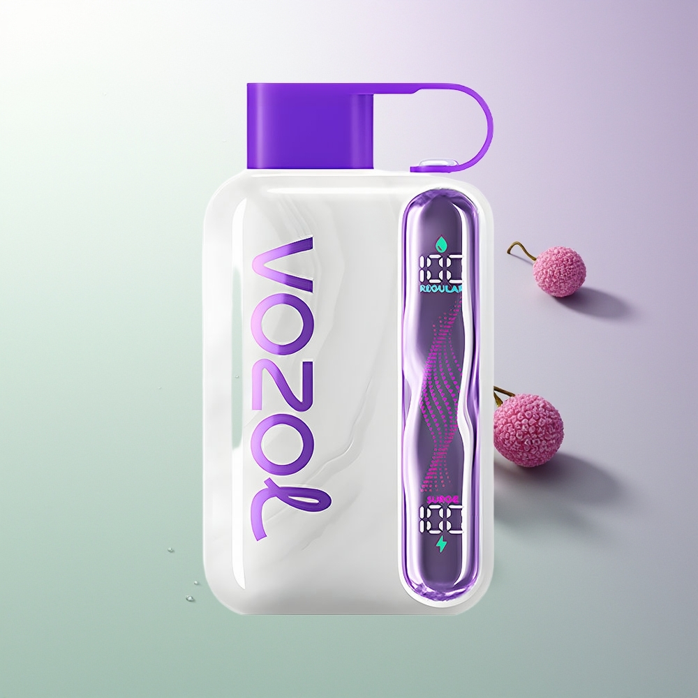 VOZOL STAR 40000 Pufova 1000mAh Type-C Grožđe Led