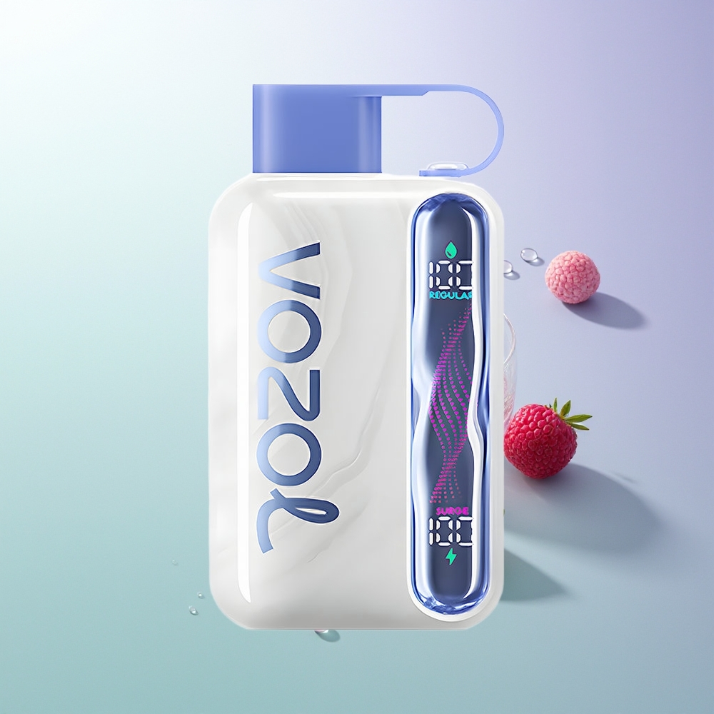 VOZOL STAR 40000 Pufova 1000mAh Type-C Plava Malina Led