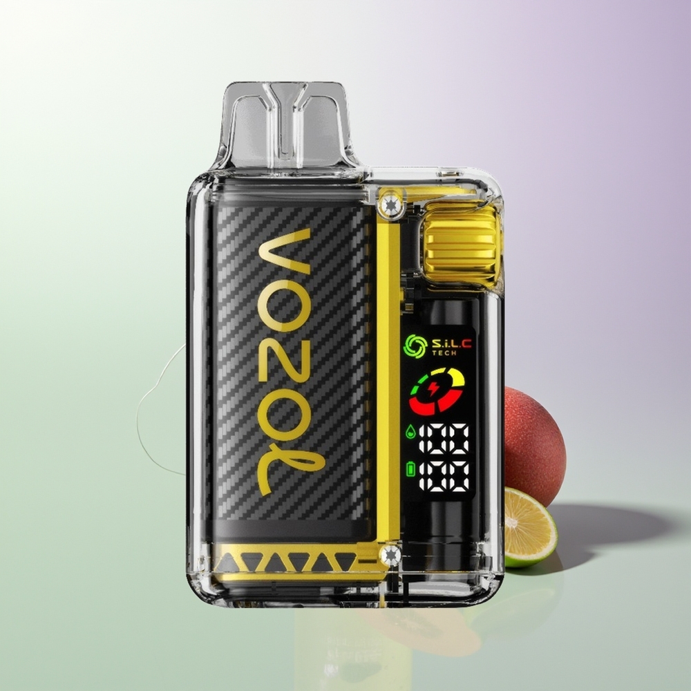 VOZOL Vista 20000 Pufova Rechargeable 650mAh OLED S.i.L.C Tech Dual Mesh MCU 65% PCR MTL 6-level Watt Output Adjustment Mangolo Ledena
